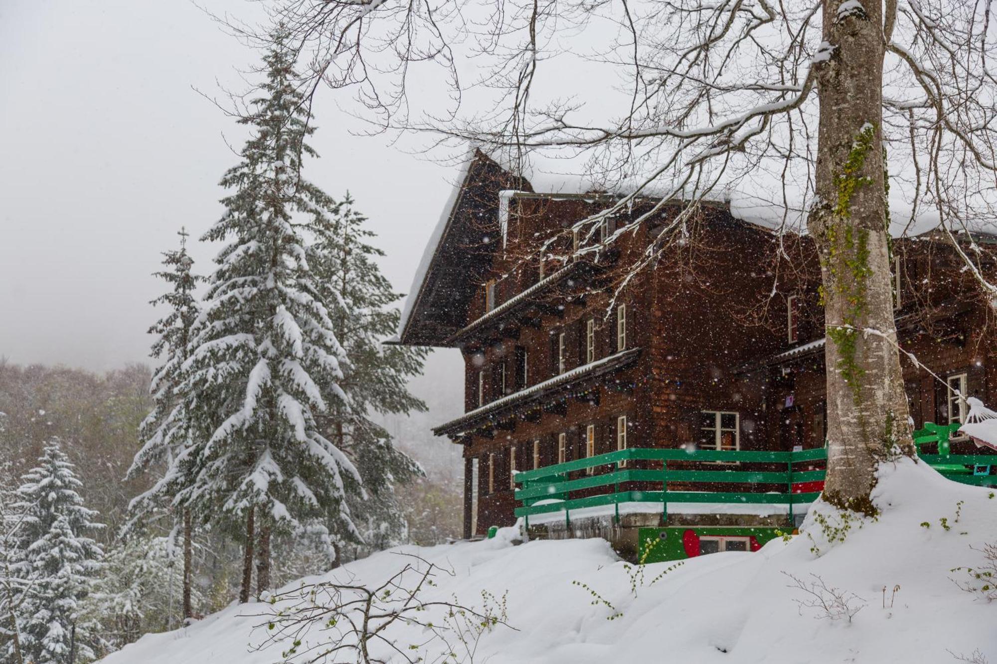 Kunst- Und Naturfreundehaus Bruenig Lungern Ngoại thất bức ảnh